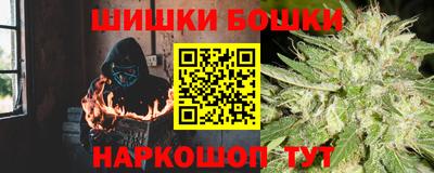 МДПВ Бийск
