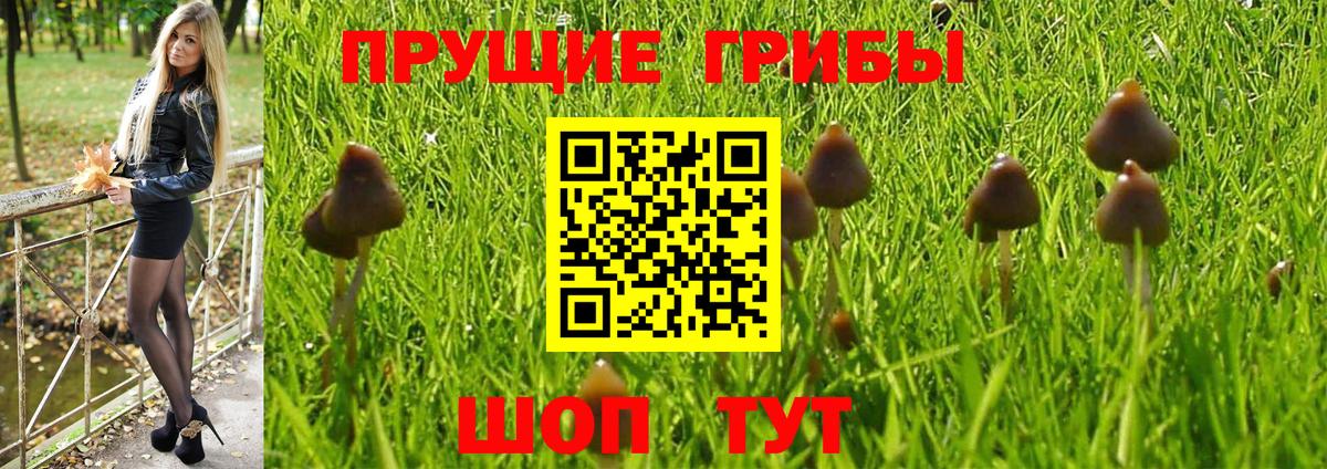 Ишим  Галлюциногенные грибы прущие грибы  Вход с VPN 